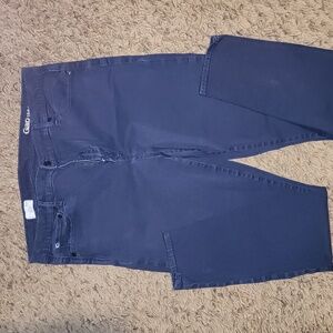 GAP 1969 True Skinny High Rise Jeans 33R